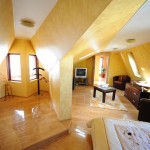 Casa Cochet - Mansarda5
